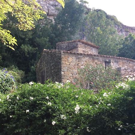 Maison Ancienne Minervois La Caunette 外观 照片