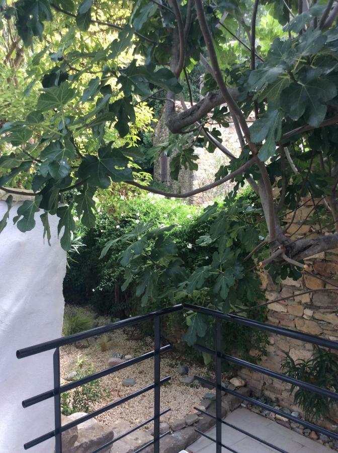 Maison Ancienne Minervois La Caunette 外观 照片
