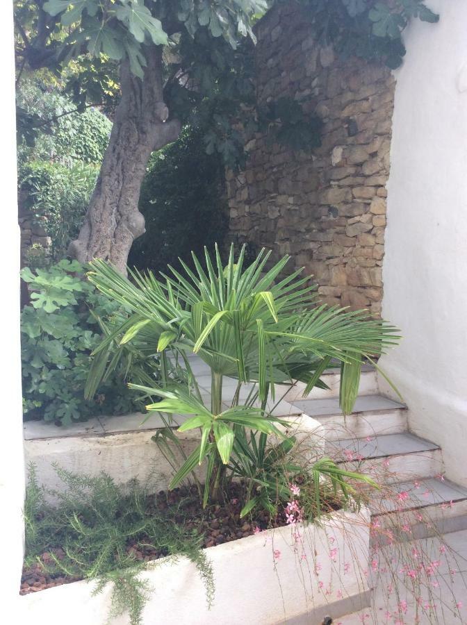 Maison Ancienne Minervois La Caunette 外观 照片