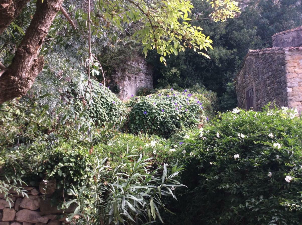 Maison Ancienne Minervois La Caunette 外观 照片