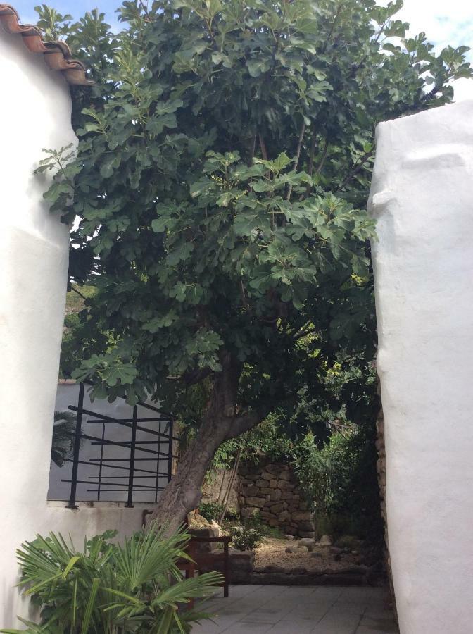 Maison Ancienne Minervois La Caunette 外观 照片